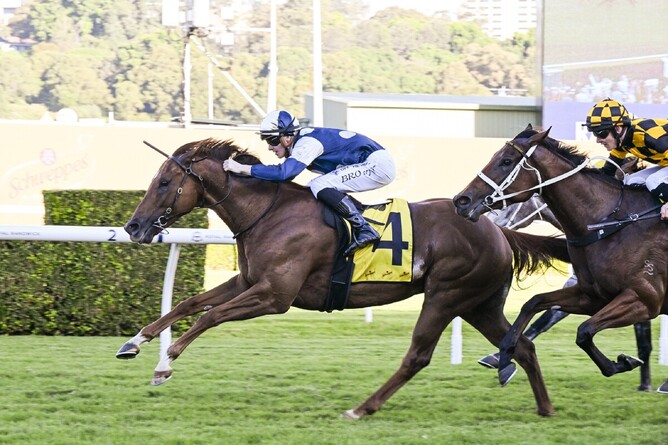Former Kiwi galloper Jimmysstar confirmed his status as one of Australia's most exciting sprinters with a dazzling win in the Gr.1 All Aged Stakes (1400m) at Randwick on Saturday.   - Photo: bradleyphotos.com.au