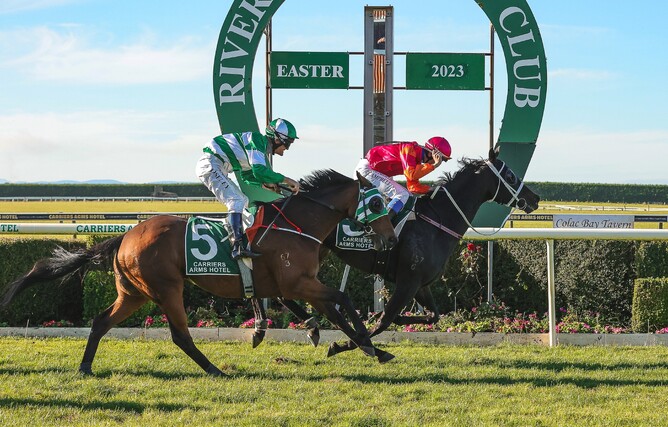 Asathought takes out the Listed Carriers Arms Hotel Riverton Cup (2147m) - Photo: Monica Toretto