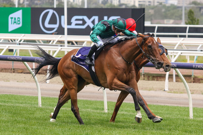 Tigertiger storms to victory in the Listed Bagot Handicap (2800m) at Flemington Photo Credit: Bruno Cannatelli