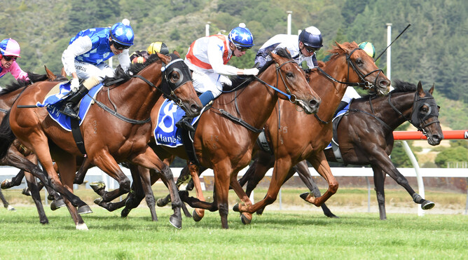 Germanicus (blue cap and white stars) on his way to winning the Gr. 3 Bluestar Anniversary Mile - Photo: Grant Matthew, Racing Images