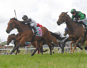 Lux Libertas up to the Manawatu Challenge