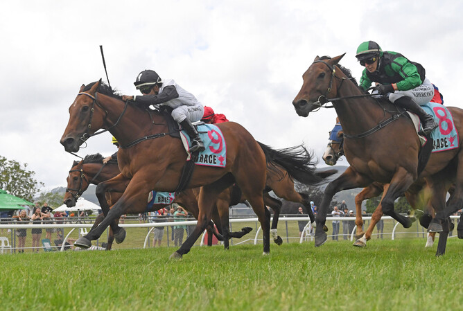 Lux Libertas winning the Gr.2 Bramco Granite & Marble Manawatu Challenge Stakes (1400m) at Trentham on Saturday.  - Photo: Peter Rubery (Race Images)
