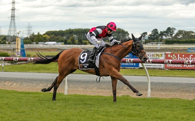 Aberlour winning the Listed Southland Guineas (1600m).   - Photo: Monica Toretto