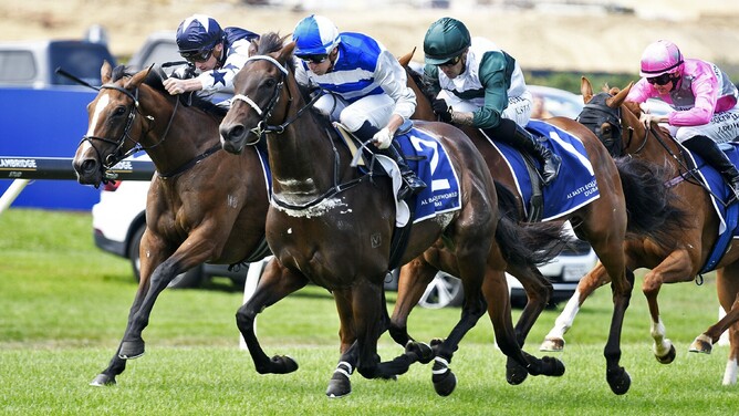 Island Life winning the Gr. 3 Al Basti Equiworld Dubai Sunline Vase (2100m) at Ellerslie on Saturday.   - Photo: Kenton Wright (Race Images)