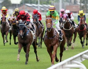 Per Incanto’s Unicorn sprints to Cup win