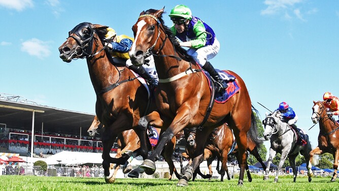Blue Sky At Night (outside) winning Saturday’s Gr.3 SKYCITY Hamilton Waikato Cup (2400m) at Te Rapa.   - Photo: Kenton Wright (Race Images)