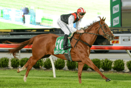 Mrs. Chrissie winning on debut Cranbourne  - Photo: Ross Holburt, Racing Photos