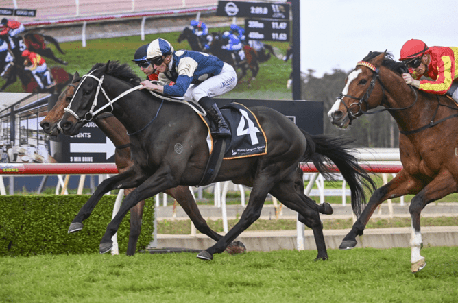 Saltcoats lands the Listed Wyong Cup (2100m). - Photo: bradleyphotos.com.au