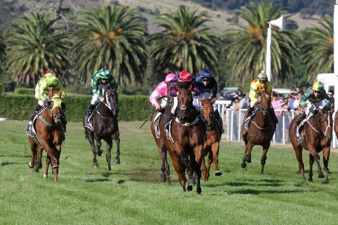 Xanadu wins the 2013 New Zealand Thoroughbred Breeders’ Stakes.
