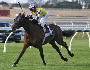 Champion mare Horlicks produces another Group One winner for Graham de Grucy