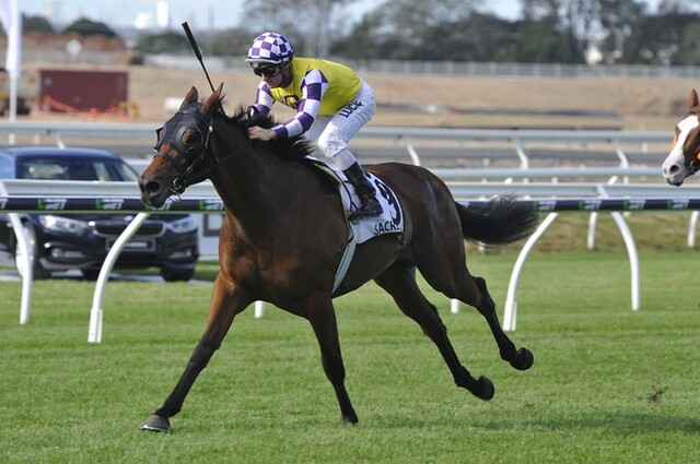 Sacred Elixir wins the JJ Aitkens Stakes 11-6-16 at Eagle Farm.  Photo: stevehart.com.au
