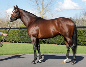 First stakes success for Belardo as Isabella Giles dominates at Goodwood