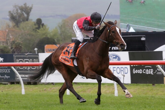 Mustang Valley provides trainer Andrew Forsman with his first Group One victory in his own right as she takes out the Gr.1 Livamol Classic (2040m) at Hastings - Photo credit: Trish Dunell