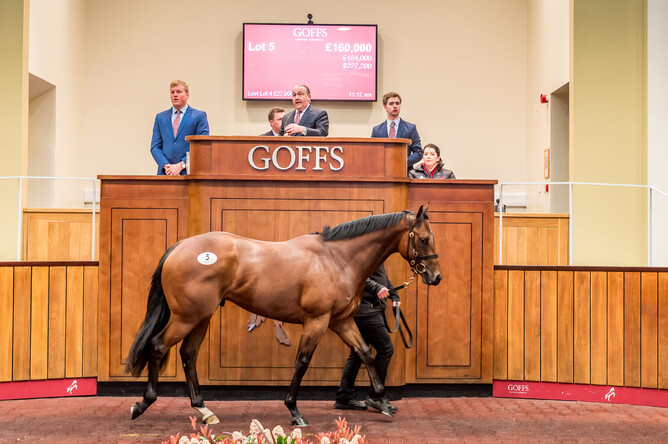 Davis Morris pictured on the rostrum at Goffs