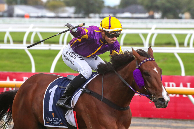 Live Drama and Kavish Chowdhoory land the Gr.3 Valachi Downs South Island Thoroughbred Breeders’ Stakes (1600m) - Photo: Race Images CHCH (Ajay Berry)