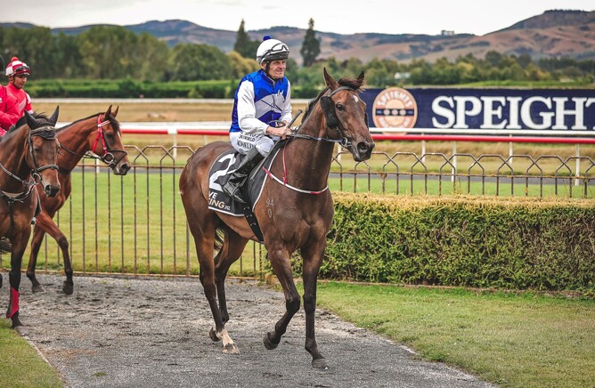 Terry Moseley returns to scale aboard Collect Your Cash following the Listed Dunedin City Motors Dunedin Guineas (1500m) at Wingatui on Saturday.  - Photo: Monica Toretto