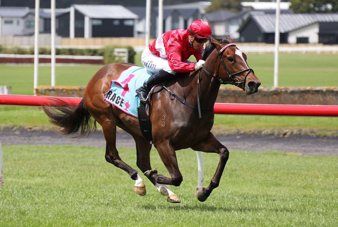 Armory filly Silhouette winning on debut at Trentham - Photo: Peter Rubery (Race Images PN)