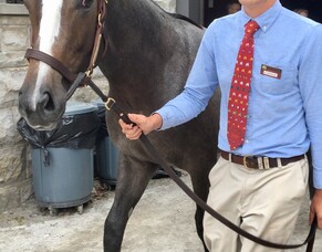 Lance Forbes&#039; final blog from the USA