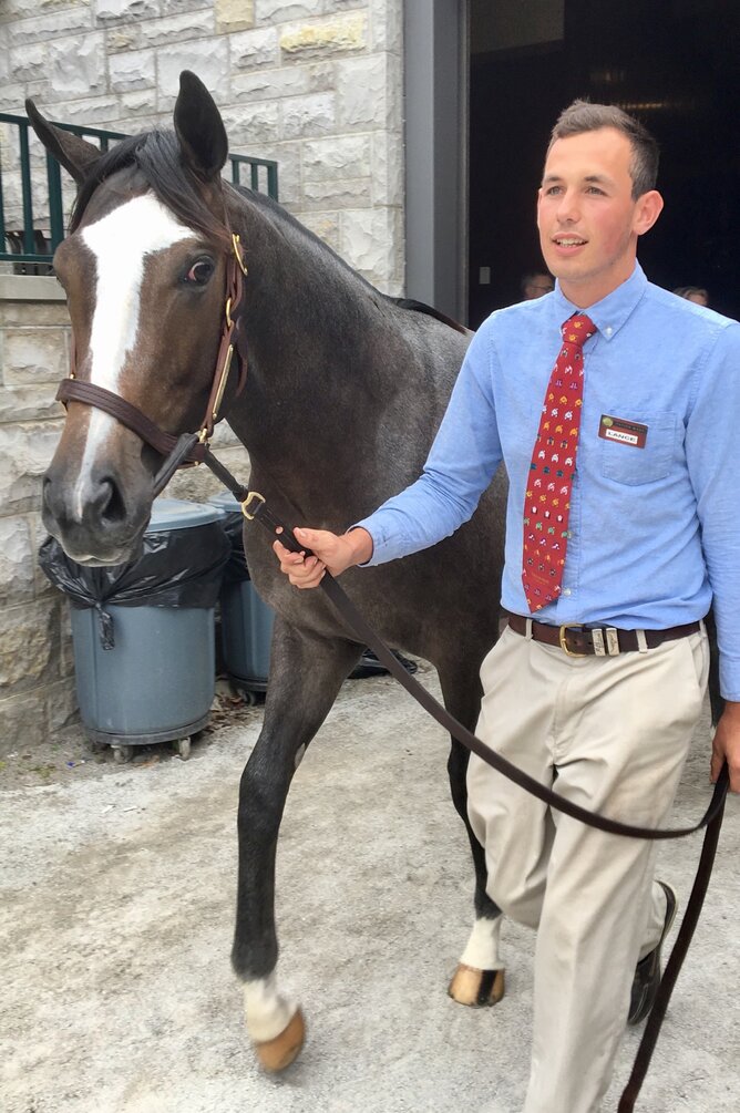 Hip 49 - Tapit colt ex. Miss Besilu