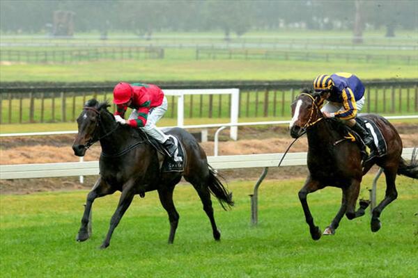 Queens Rose wins the $50,000 Listed Tauranga Classic 20/6/15