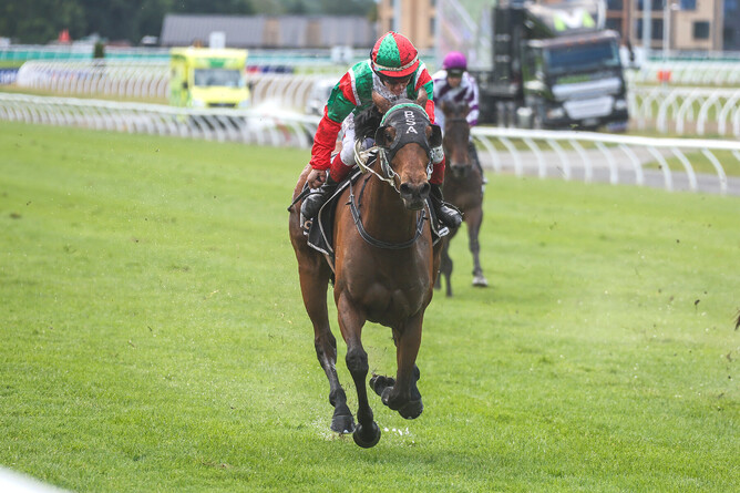 Inflamed powers home down the outside of a rain-soaked Riccarton to win the Listed Stewards' Stakes (1200m). - Photo: Race Images South