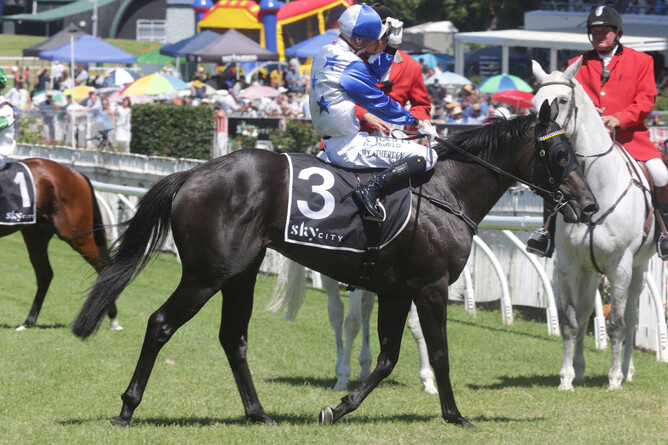 Dark Destroyer gets the best of Field Of Gold to win the Gr.2 SKYCITY Auckland Guineas (1600m) Photo Credit: Kirstin Ledington