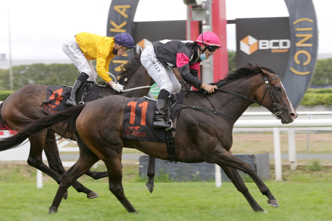 Craig Grylls guides Coventina Bay to victory in the Gr.1 Herbie Dyke Stakes (2000m) at Te Rapa Photo Credit: Trish Dunell
