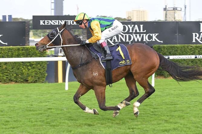 Super Easy’s progressive son Easy Eddie - Bradley Photography