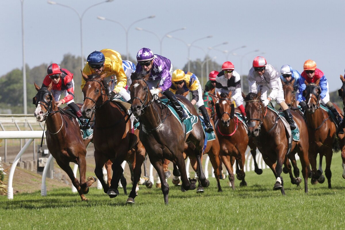 New Zealand Racing Calendar confirmed New Zealand Thoroughbred