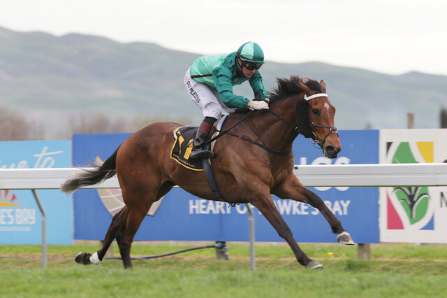 Humidor (Teofilo x Zalika) winner of the G1 Memsie Stakes