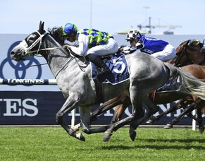 Polly adds a pretty penny to value with Epona victory