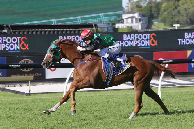 Johnathan Parkes and Ocean Billy are well clear approaching the winning post at Ellerslie Photo Credit: Trish Dunell
