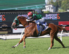 Pomare Thinking Ahead with Ocean Billy