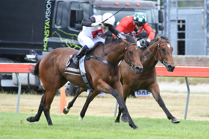 Xpression winning G2 Randwick Meats Wakefield Challenge Stakes