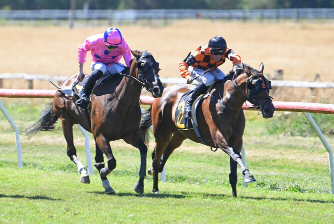 Town Cryer (inside) on her way to winning the Listed Wairarapa Thoroughbred Breeders’ Stakes (1600m) at Tauherenikau on Tuesday.   - Photo: Peter Rubery (Race Images Palmerston North)