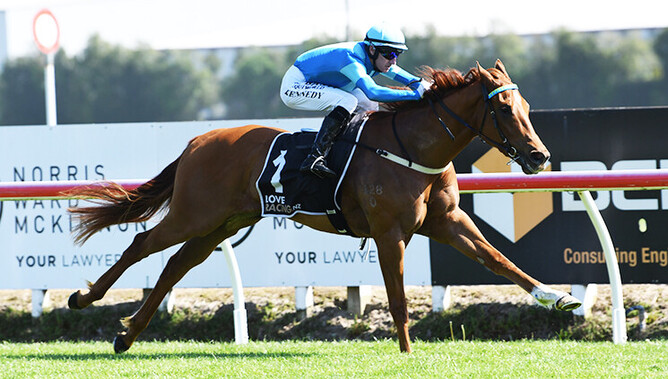Crocetti remains unbeaten to claim the Gr.2 James & Annie Sartern Memorial (1400m) at Te Rapa on Saturday.  - Photo: Kenton Wright (Race Images)