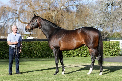 Sir Patrick Hogan with Tavistock