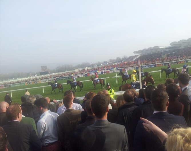 Our view of the horses parading ahead of the Cheltenham Gold Cup, packed into the course with 70,000 others. The 2 white posts is the finish line so we got ourselves a good spot to see Lord Windermere first past the post! He retained the win in the enquiry room in a decision I feel would have been overturned back in NZ, but I did back the 2nd horse so maybe I'm a little bias.