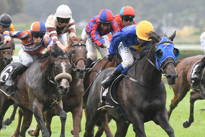 Sagunto holds off his rivals to take out the Gr.3 Humphries Construction Manawatu Cup (2300m) - Photo: Race Images