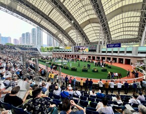 Rebecca Donovan - Sunline Management Scholarship Final Blog