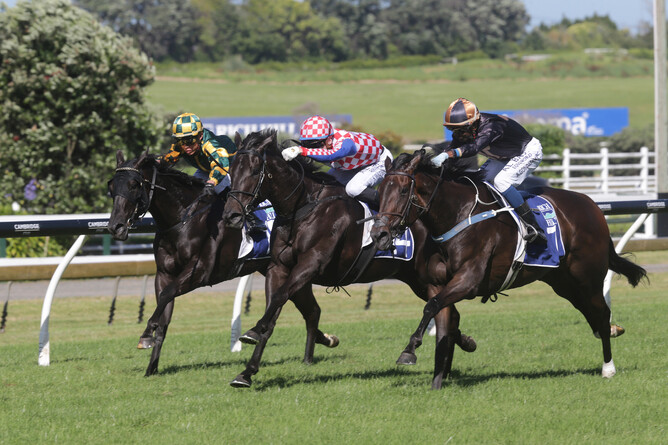Mali Ston (middle) fights out a nail-biting finish with Mai Tai (right) to the Gr.2 Rich Hill Mile (1600m) at Ellerslie Photo Credit: Trish Dunell