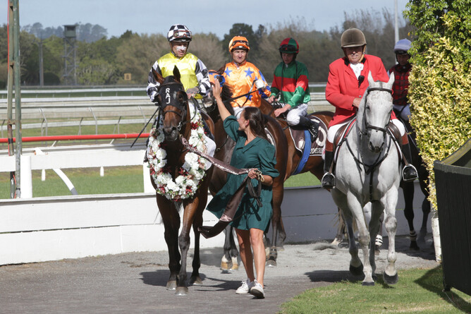 An apprehensive Michael McNab brings Prowess back to the Pukekohe birdcage after the protest siren had sounded - Photo: Kristin Ledington