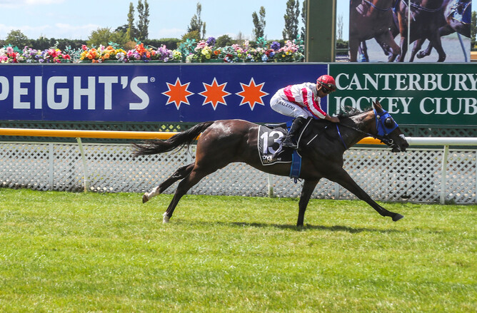 Amazon Goddess clears out from her rivals to win at Riccarton Photo Credit: Race Images South