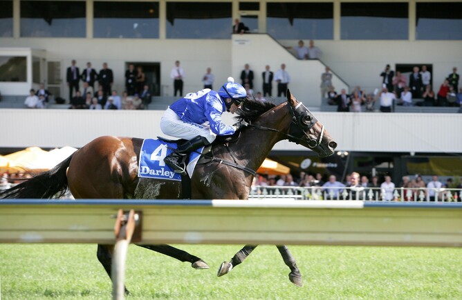 Accardo wins the Darley Plate - Picture by Trish Dunnell