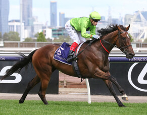 Tralee Rose thrashes her rivals in Bagot