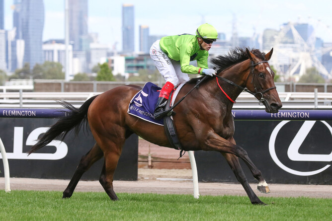 Tralee Rose demolished her rivals in the Listed Bagot Handicap (2800m) at Flemington by seven lengths. Photo: Bruno Cannatelli.