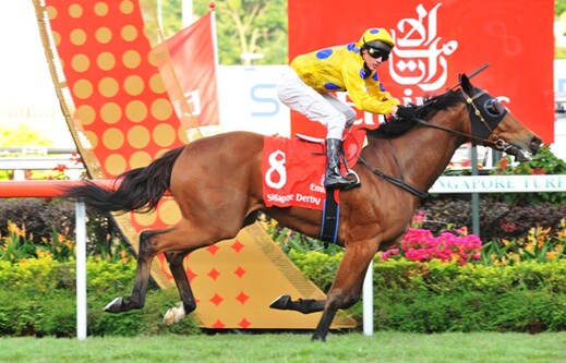 Clint (pictured above) winning the Singapore Derby last week