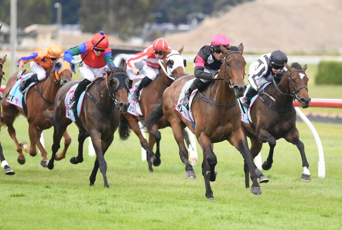 Leica Lucy winning the Gr.3 Eulogy Stakes (1600m) at Trentham on Saturday.   - Photo: Peter Rubery, Race Images