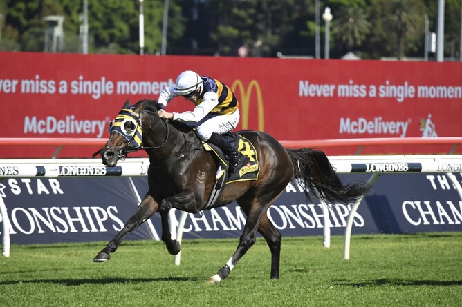Quick thinker returns to form with a vengeance as he takes out the Gr.2 Chairman’s Quality (2600m) at Randwick Photo Credit: Bradleyphotos.com.au