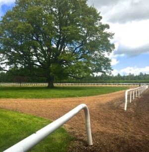 One of the training tracks at Ballydoyle